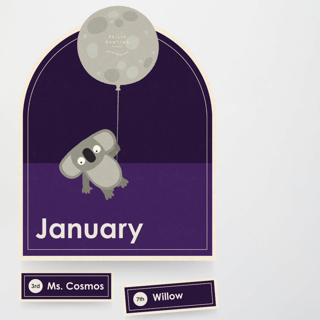 Philip Bunting: Birthday Display - Watch this Space Classroom Decor