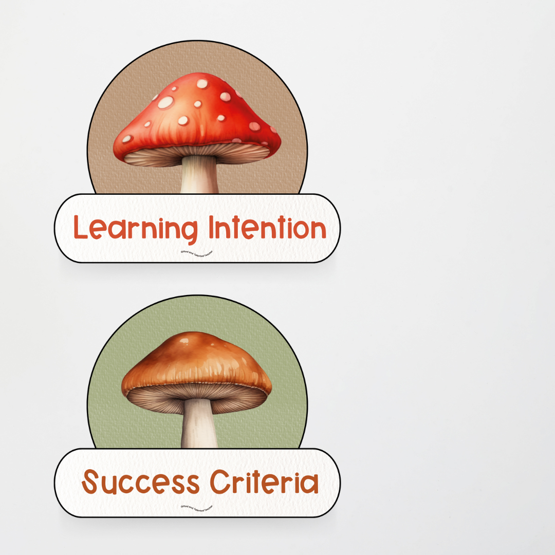 Visible Learning - Woodland Classroom Decor - Teacher Resources & Classroom Decor
