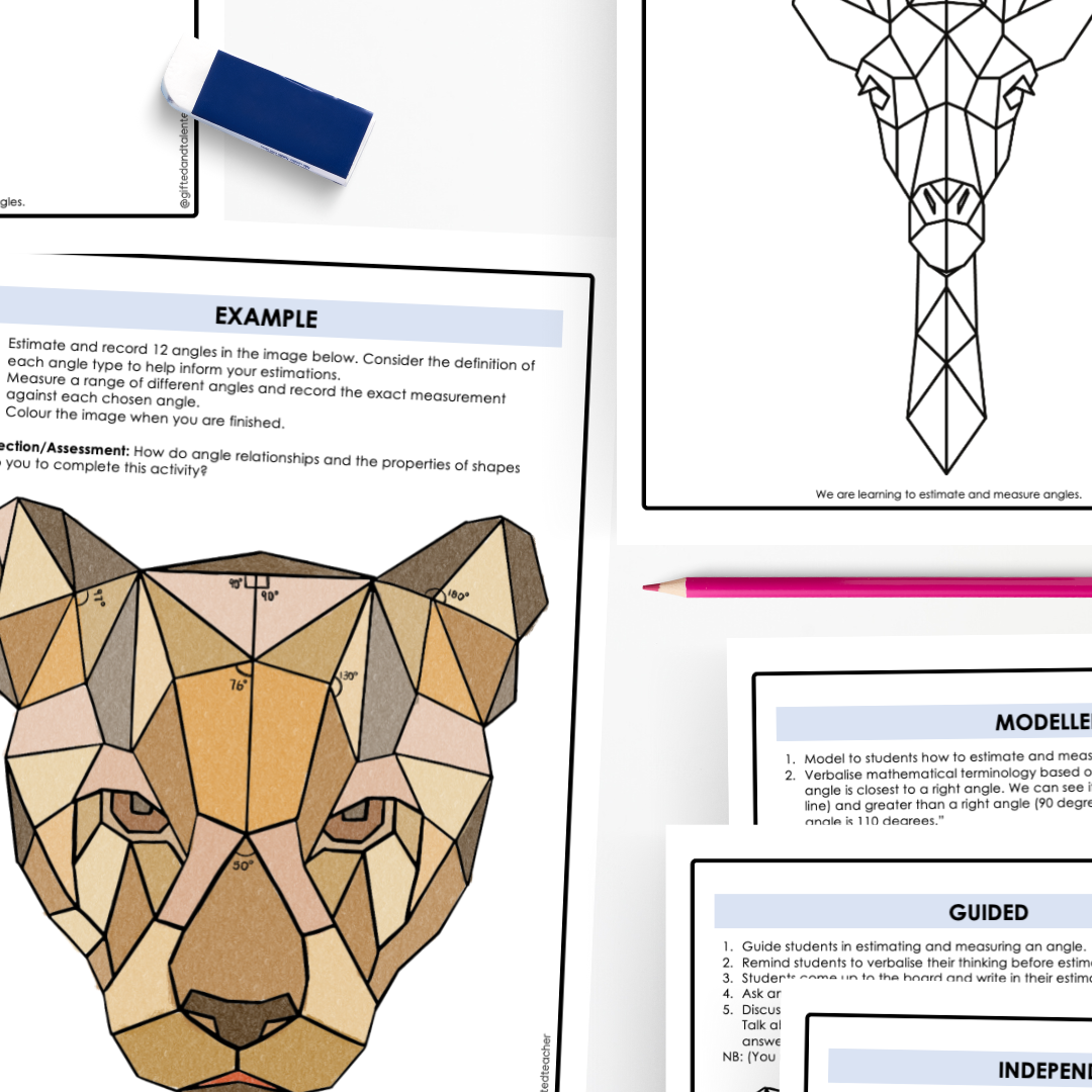 Angles: Estimate and Measure