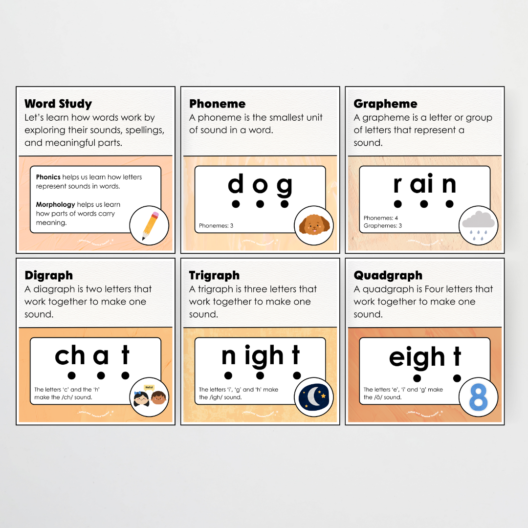 Word Study Phonics and Morphology Display - Neutral Classroom Decor - Teacher Resources & Classroom Decor