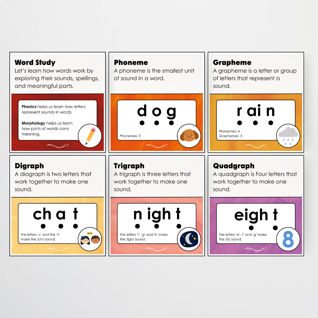Word Study Phonics and Morphology Display - Insect Life Classroom Decor - Teacher Resources & Classroom Decor