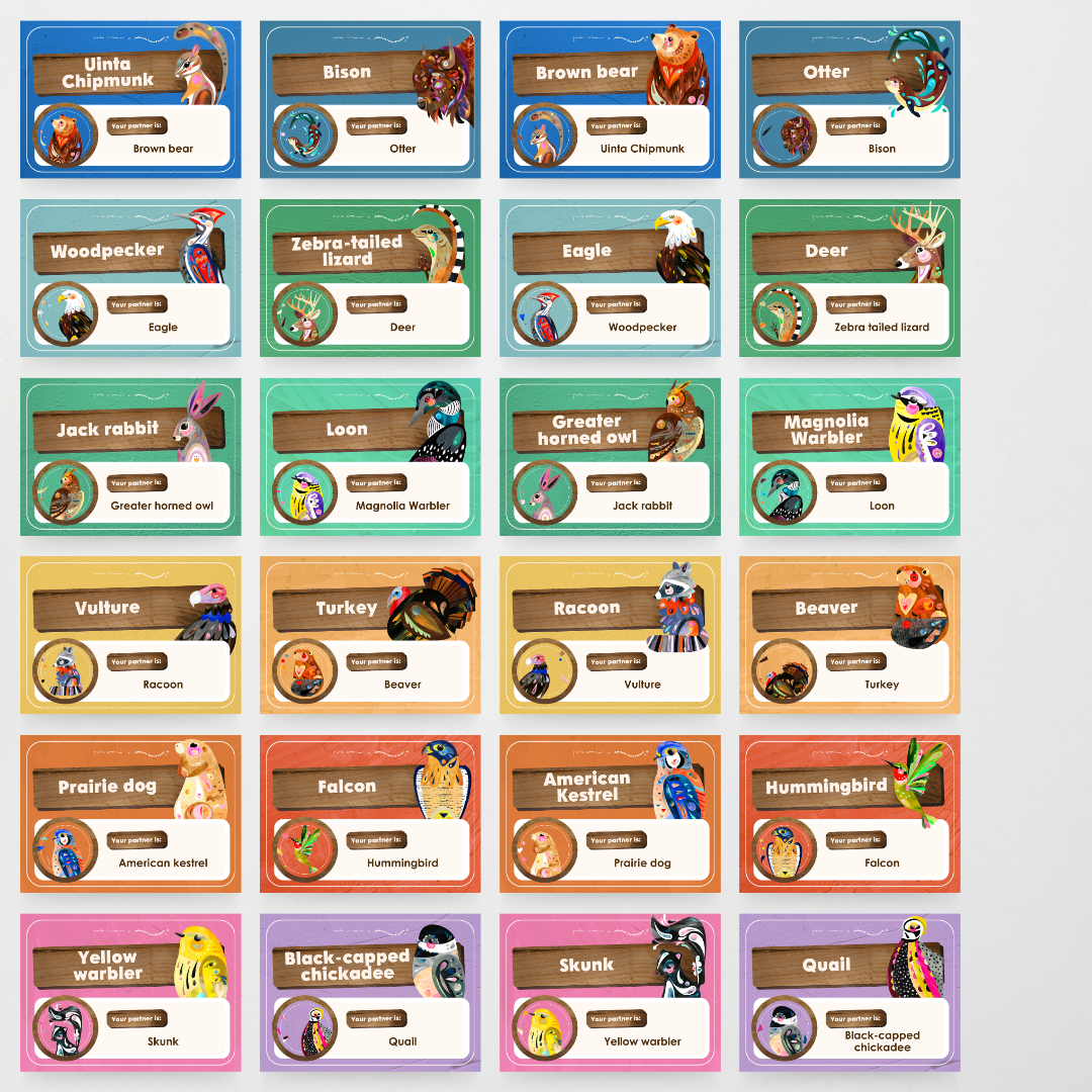 Partner Match - North America Classroom Decor - Teacher Resources & Classroom Decor