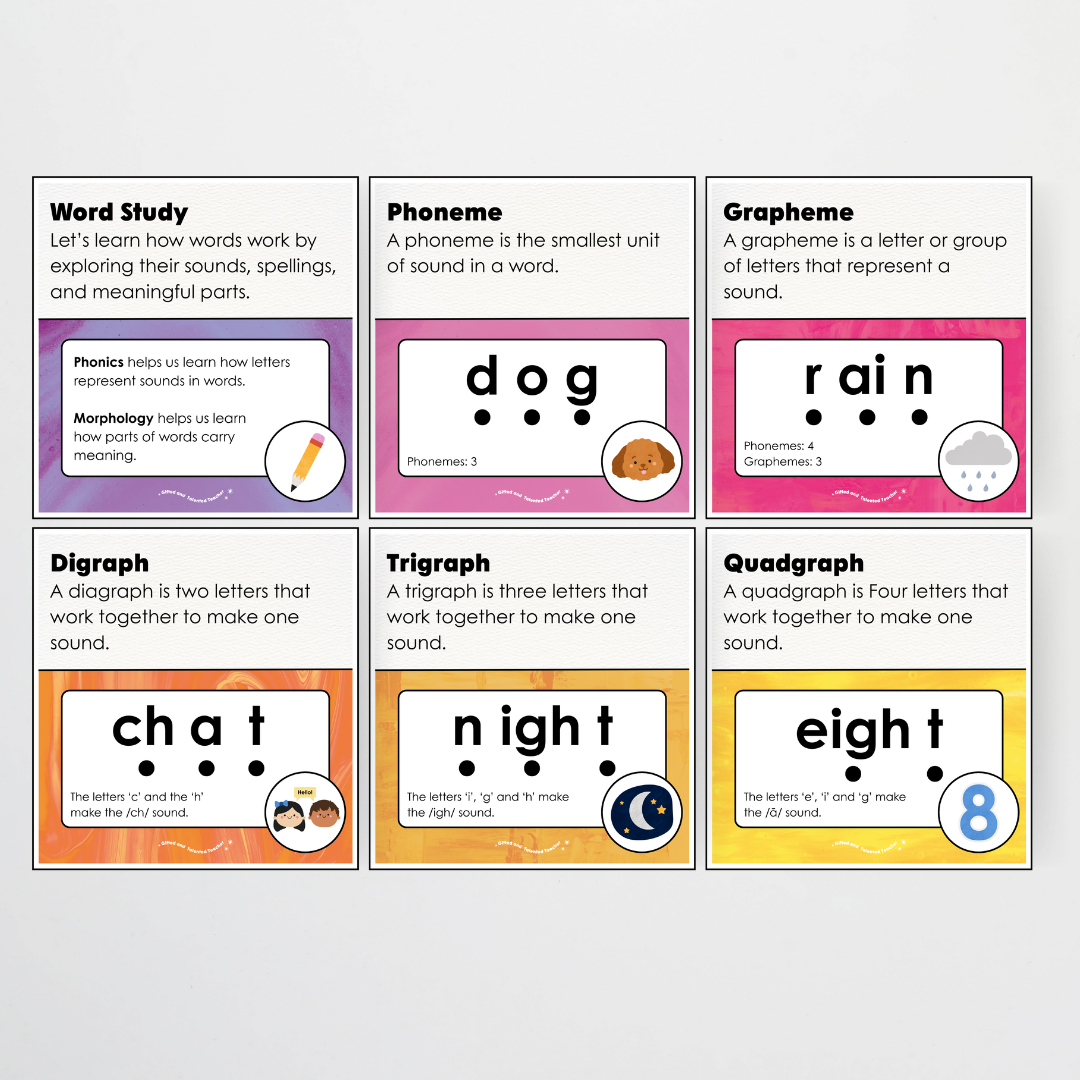 Word Study Phonics and Morphology Display - Australian Fauna and Flora Classroom Decor - Teacher Resources & Classroom Decor