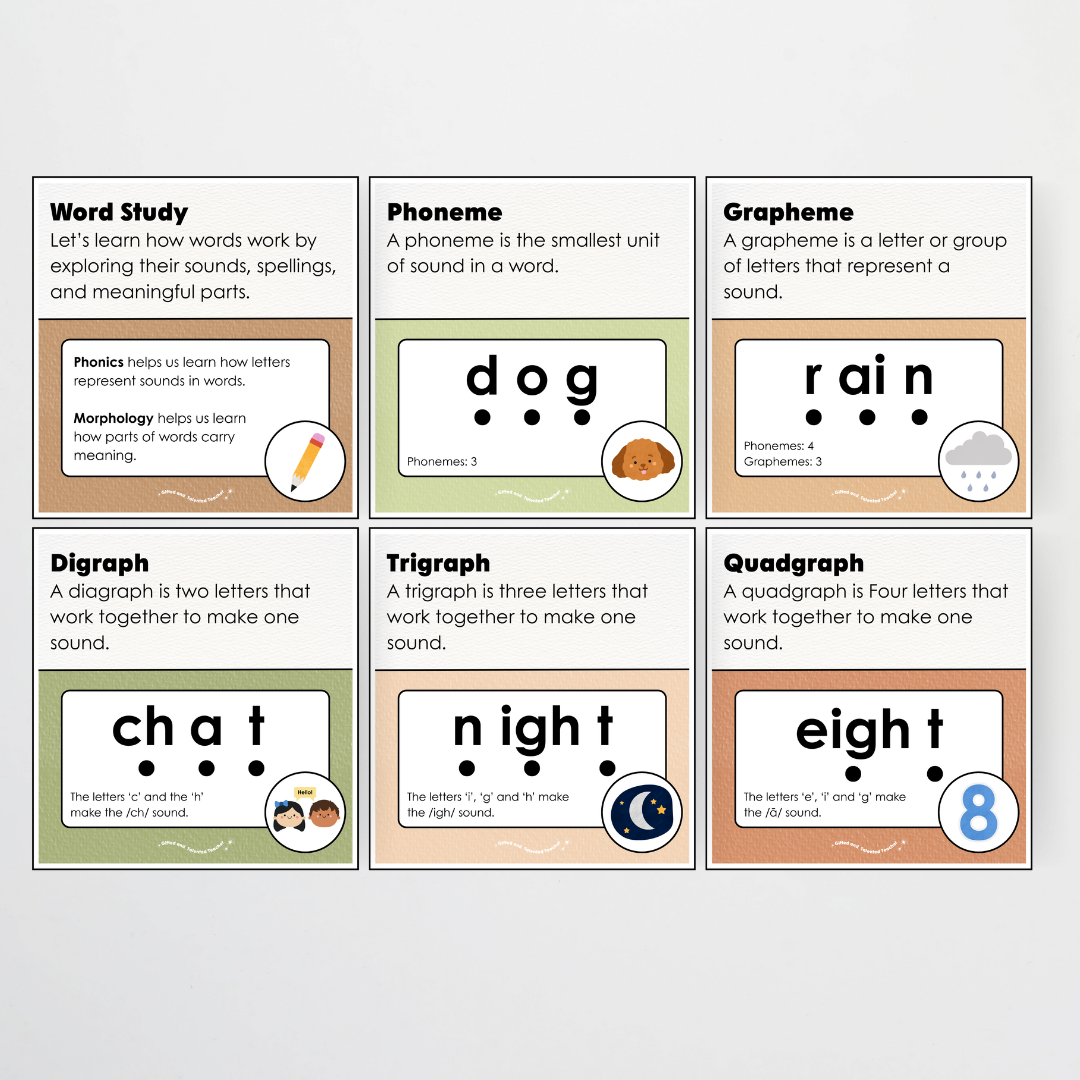 Word Study Phonics and Morphology Display - Woodland Classroom Decor - Teacher Resources & Classroom Decor