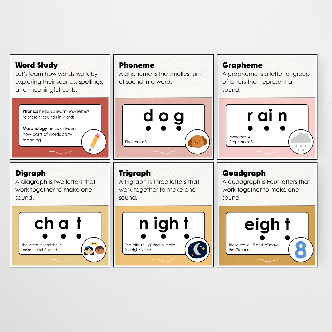 Word Study Phonics and Morphology Display - Little Circus Classroom Decor - Teacher Resources & Classroom Decor