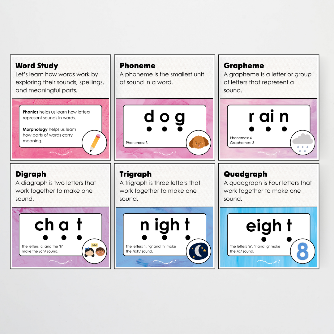 Word Study Phonics and Morphology Display - Sea Life Classroom Decor - Teacher Resources & Classroom Decor