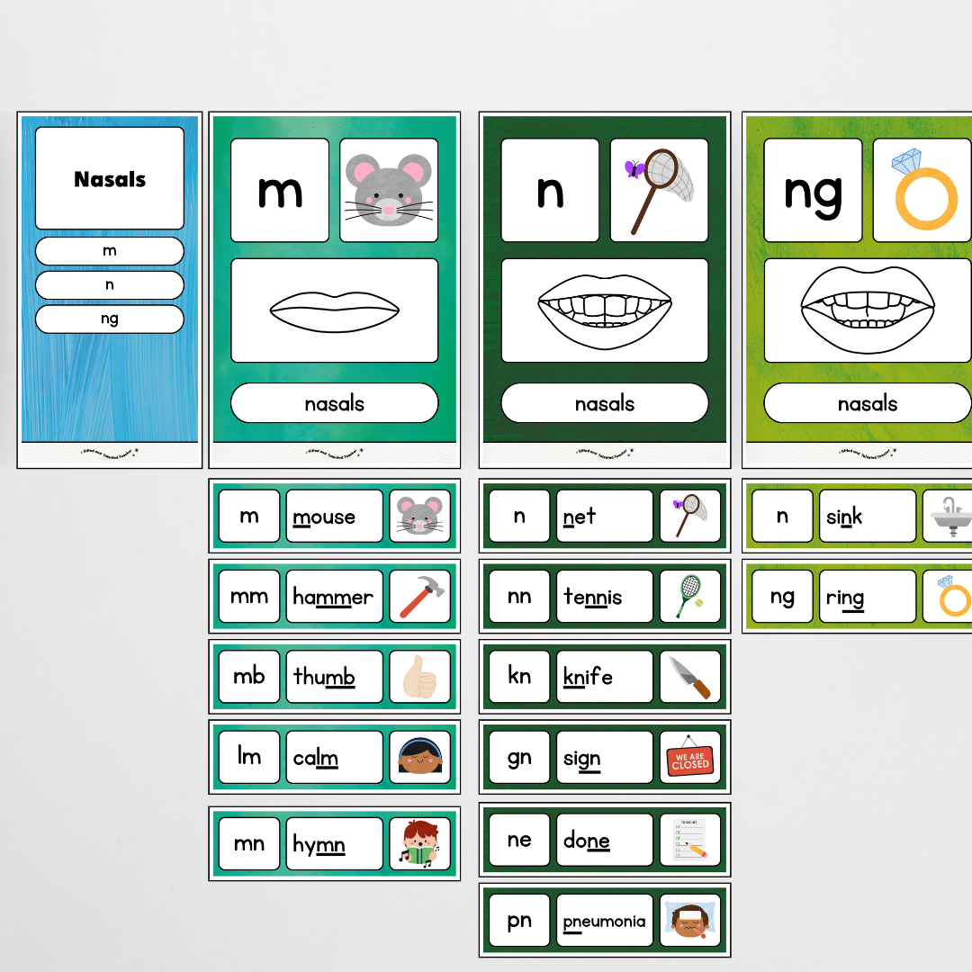 Sound Wall with Mouth Articulation - Insect Life Classroom Decor
