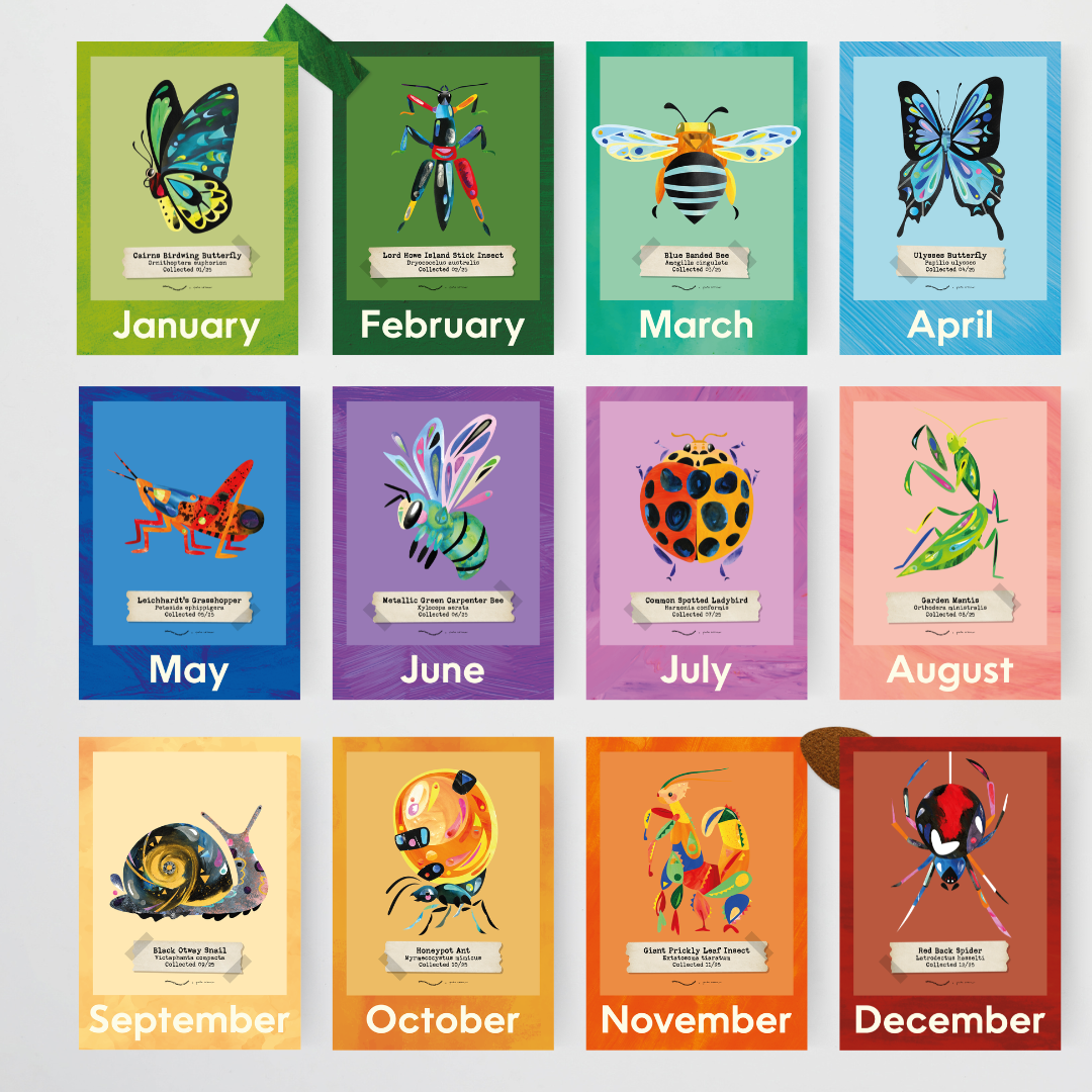 x Pete Cromer - Upper Grades Bundle - Insect Life Collection