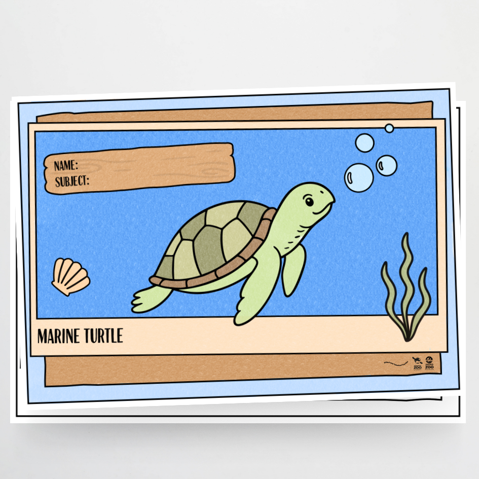 Taronga Zoo: Line Art Book Covers - Taronga Zoo Classroom Decor - Teacher Resources & Classroom Decor