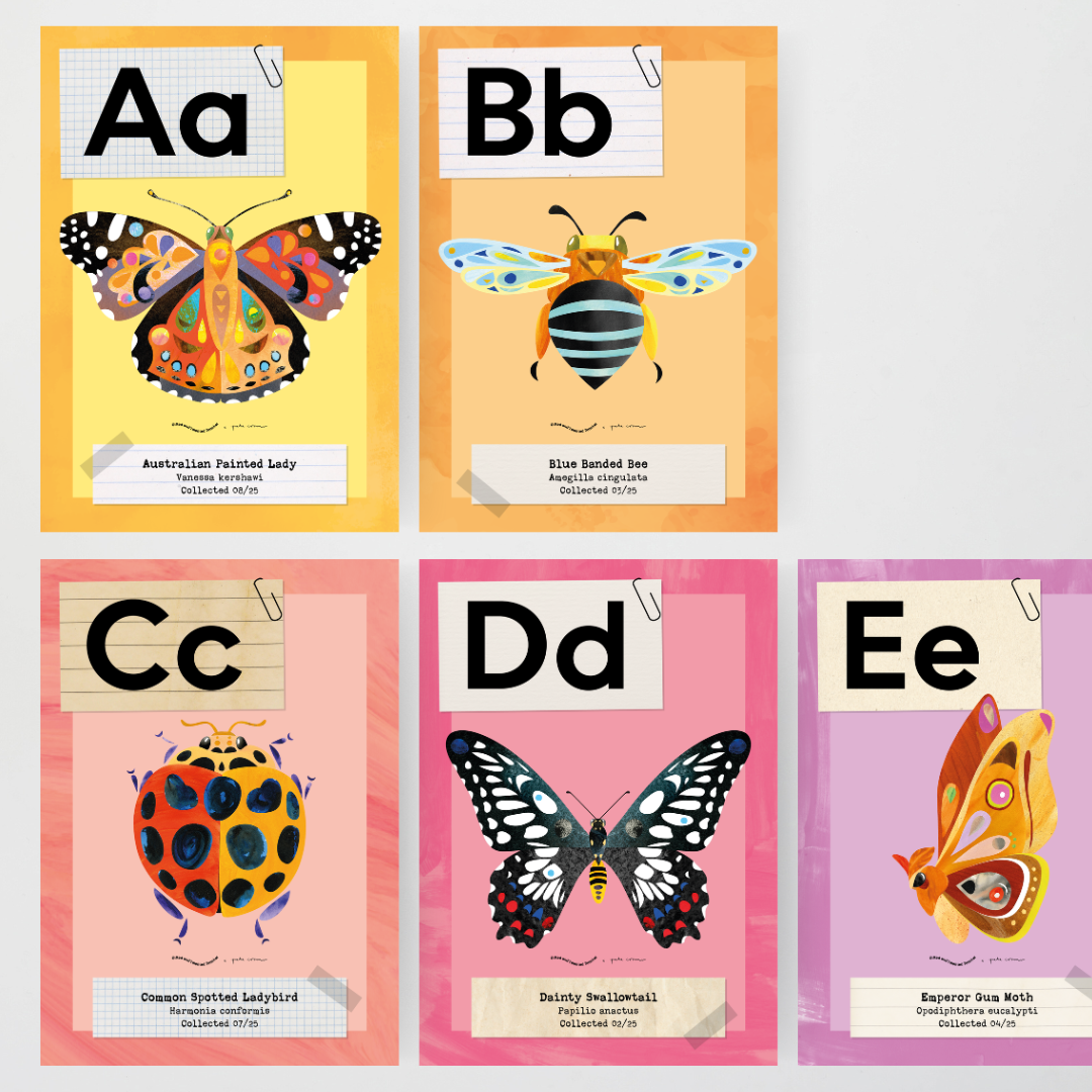 Pete Cromer: Upper Grades Alphabet Posters - Insect Life Classroom Decor