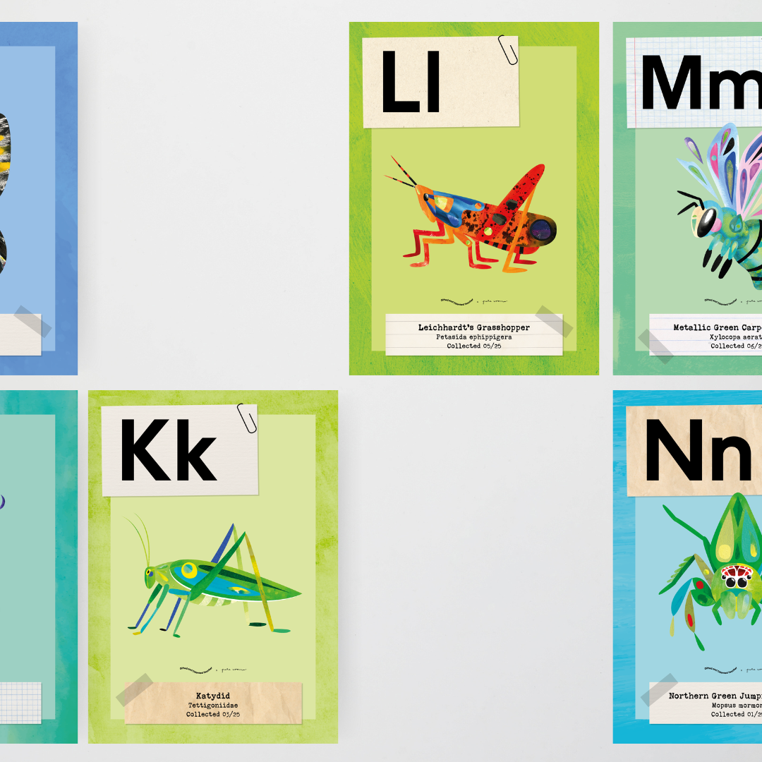 Pete Cromer: Upper Grades Alphabet Posters - Insect Life Classroom Decor