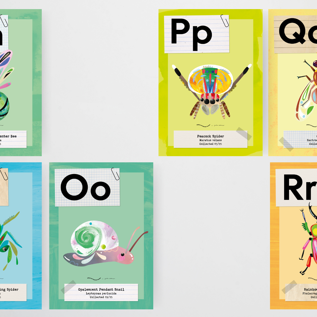 Pete Cromer: Upper Grades Alphabet Posters - Insect Life Classroom Decor