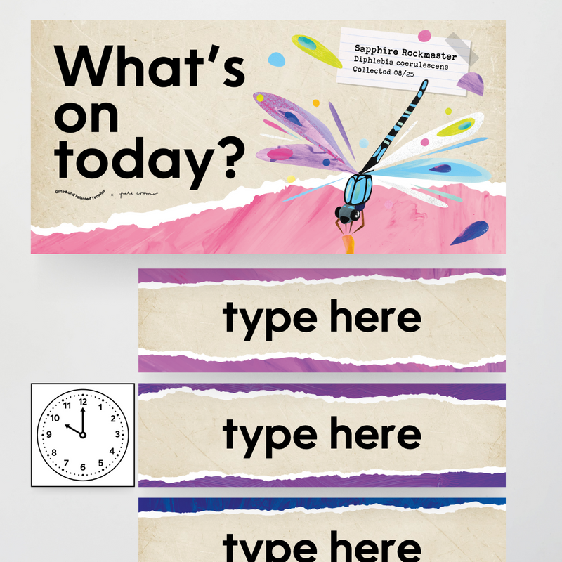 x Pete Cromer - Insect Life Classroom Decor (Upper Grades) Bundle
