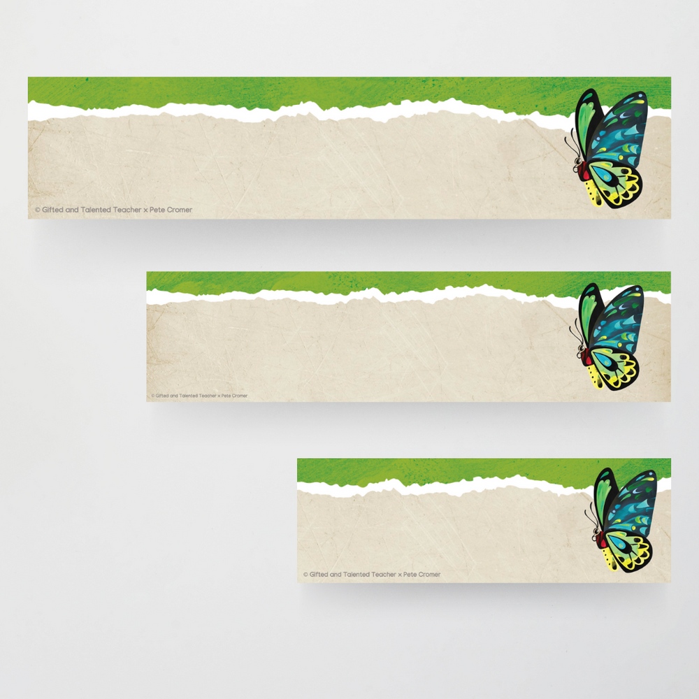 Pete Cromer: Rectangle Labels - Insect Life Classroom Decor | Gifted ...