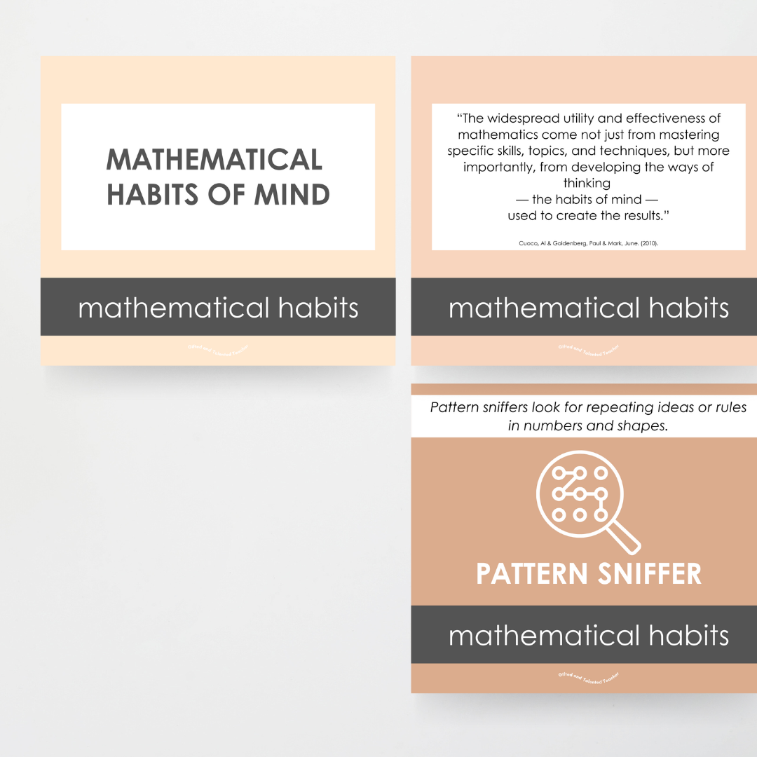 Mathematical Habits of Mind Wall Display: Neutral