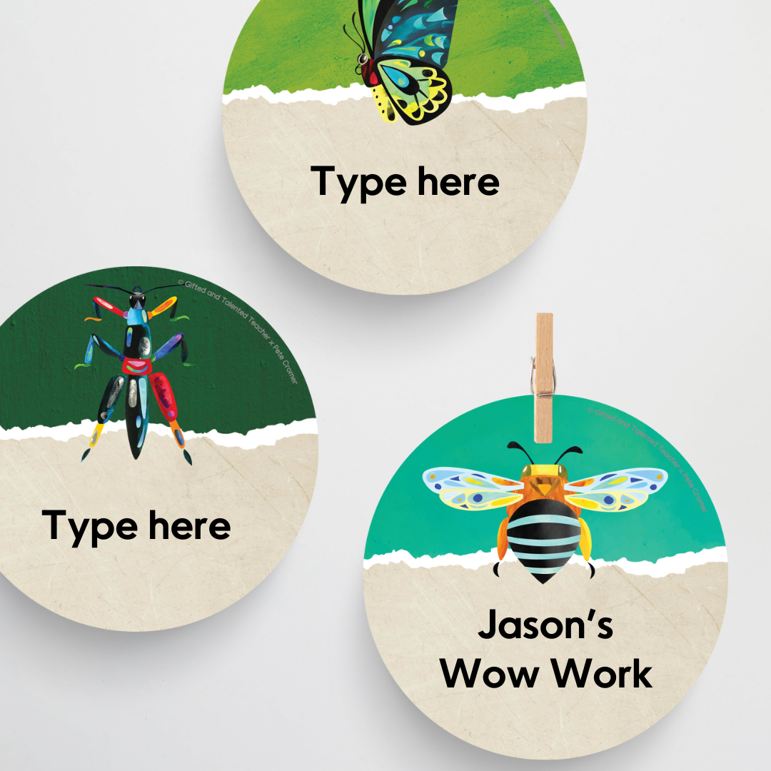 Pete Cromer: Circle Labels - Insect Life Classroom Decor