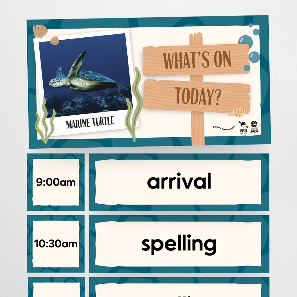 x Taronga Zoo Classroom Decor Bundle - Zoo-Themed Classroom Decor