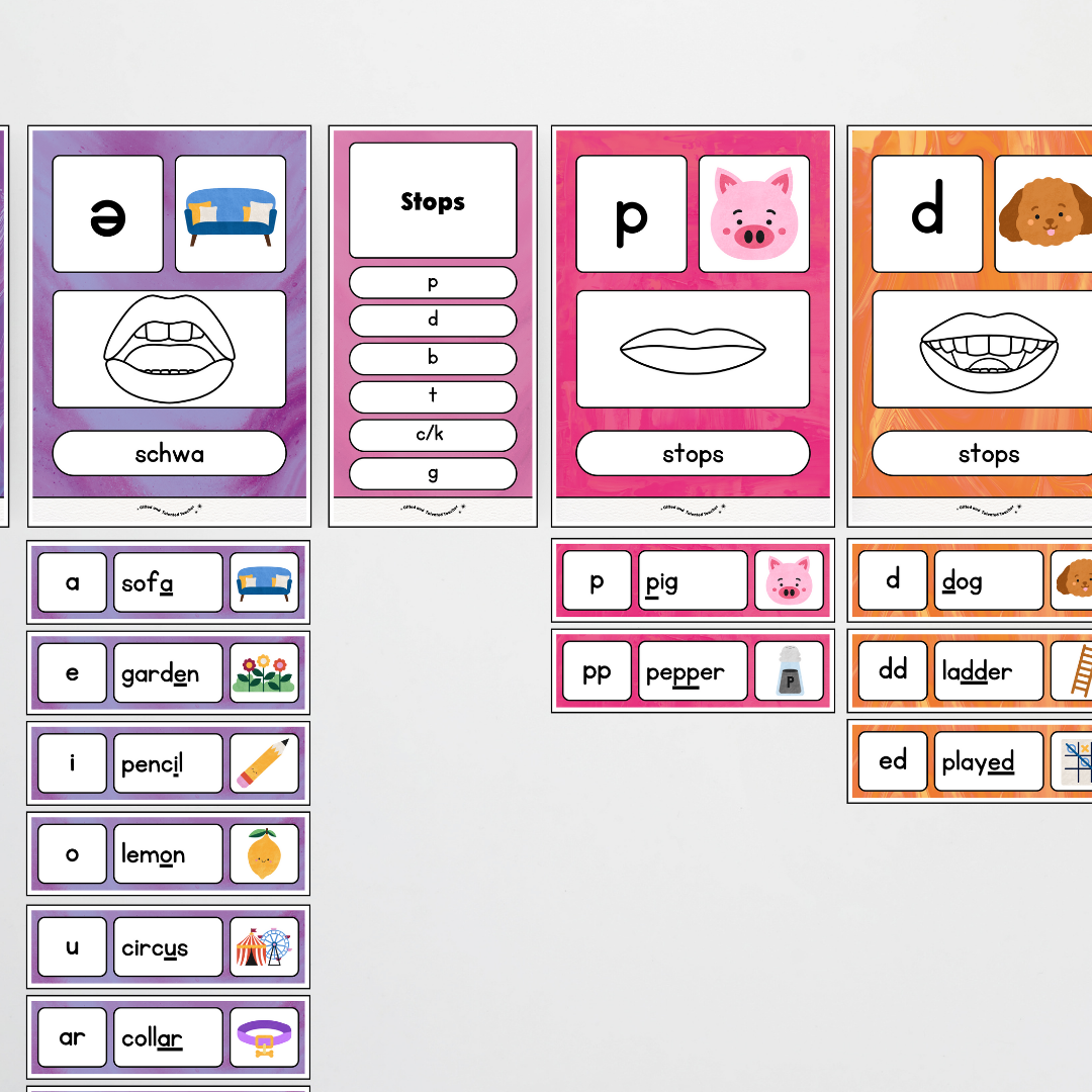 Sound Wall with Mouth Articulation - Australian Fauna and Flora Classroom Decor