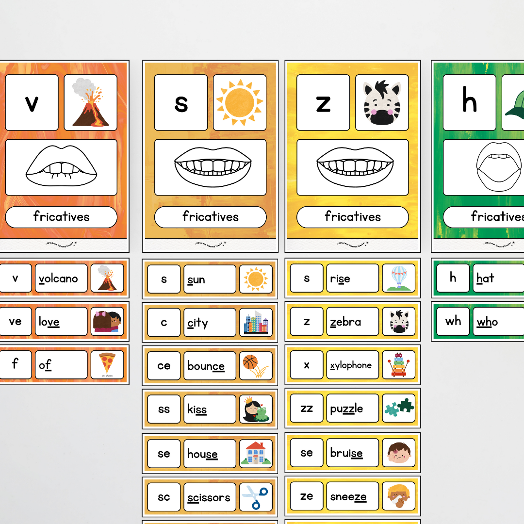 Sound Wall with Mouth Articulation - Australian Fauna and Flora Classroom Decor
