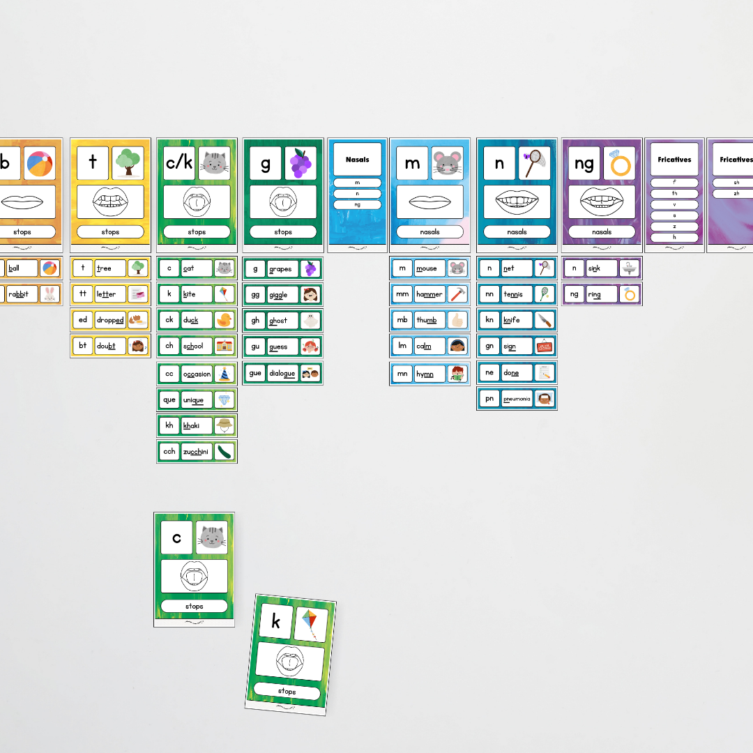 Sound Wall with Mouth Articulation - Australian Fauna and Flora Classroom Decor