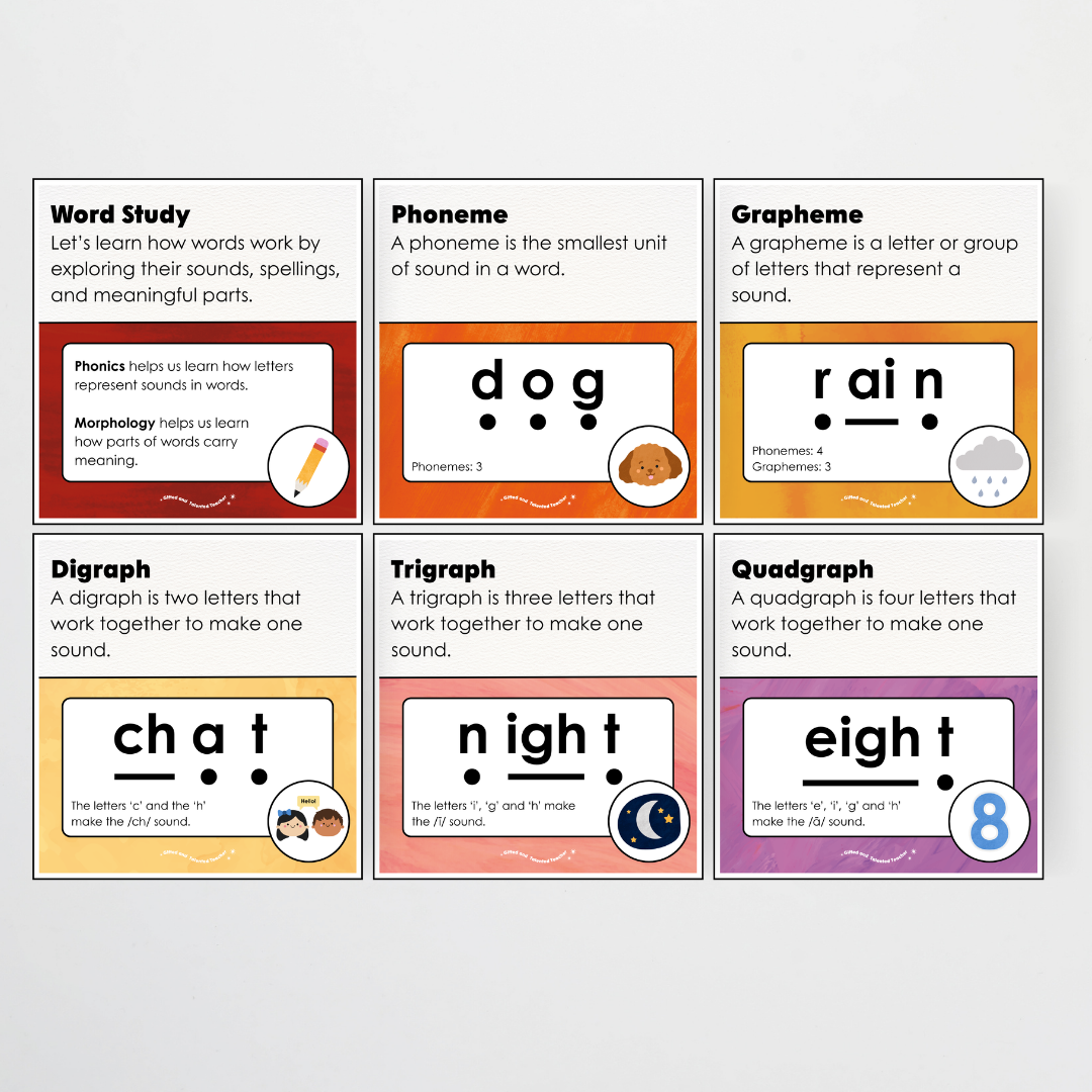Word Study Phonics and Morphology Display - Insect Life Classroom Decor - Teacher Resources & Classroom Decor