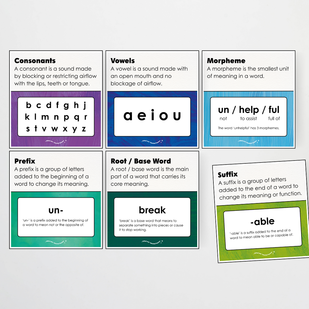 Word Study Phonics and Morphology Display - Insect Life Classroom Decor - Teacher Resources & Classroom Decor