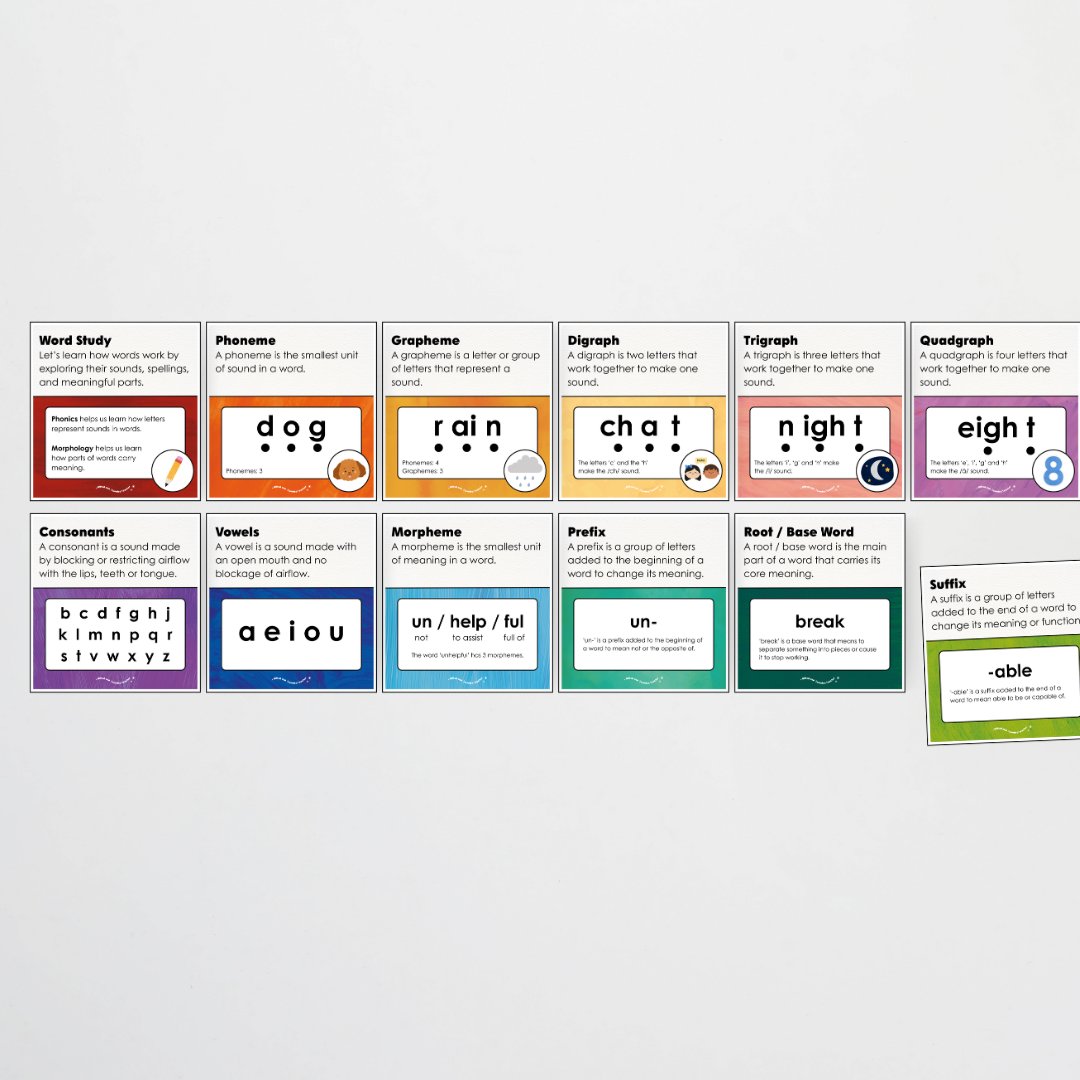Word Study Phonics and Morphology Display - Insect Life Classroom Decor - Teacher Resources & Classroom Decor