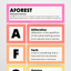 Persuasive Devices: AFOREST - Rainbow Classroom Decor Teacher Resource