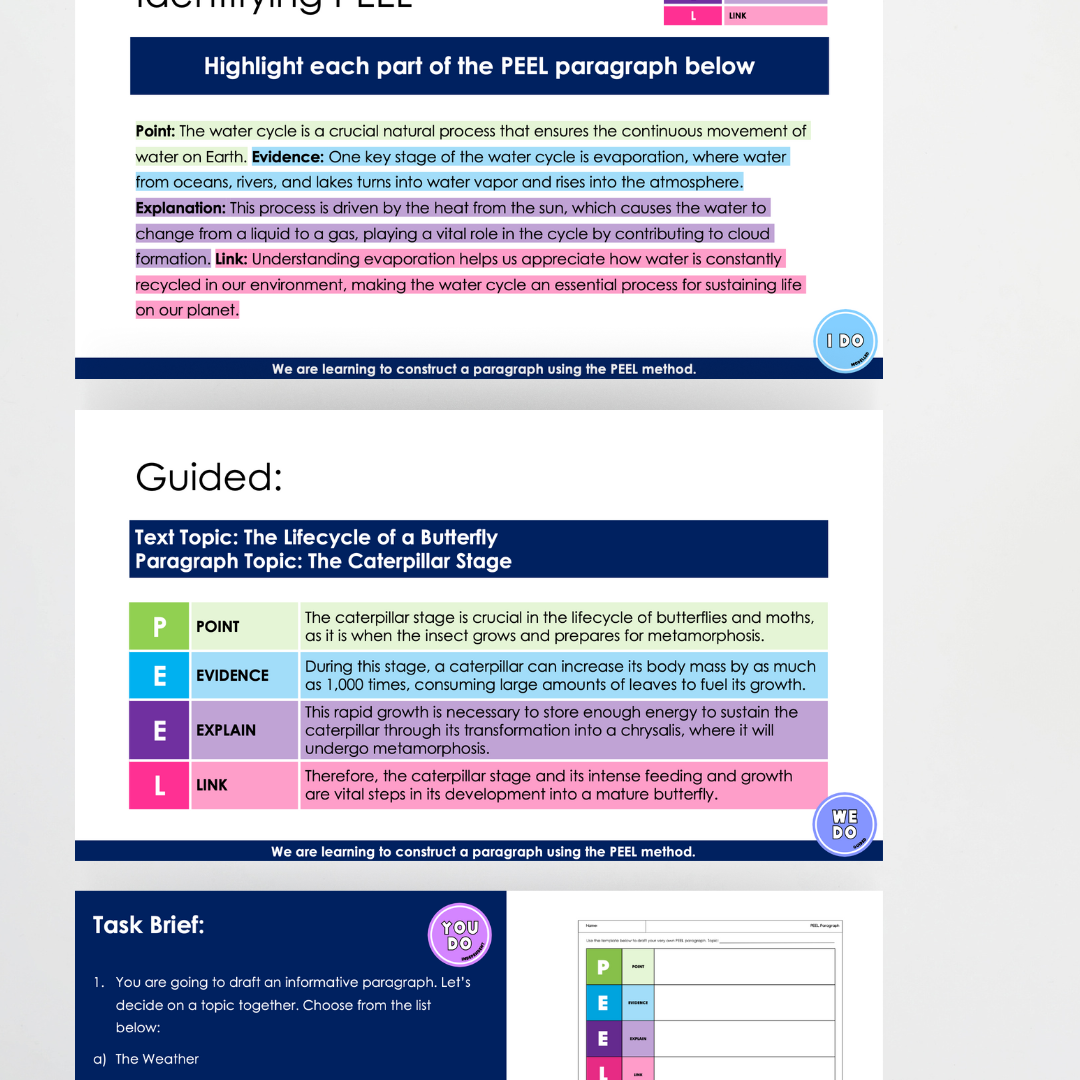 PEEL Paragraph Structure Bundle | Informative Purposes