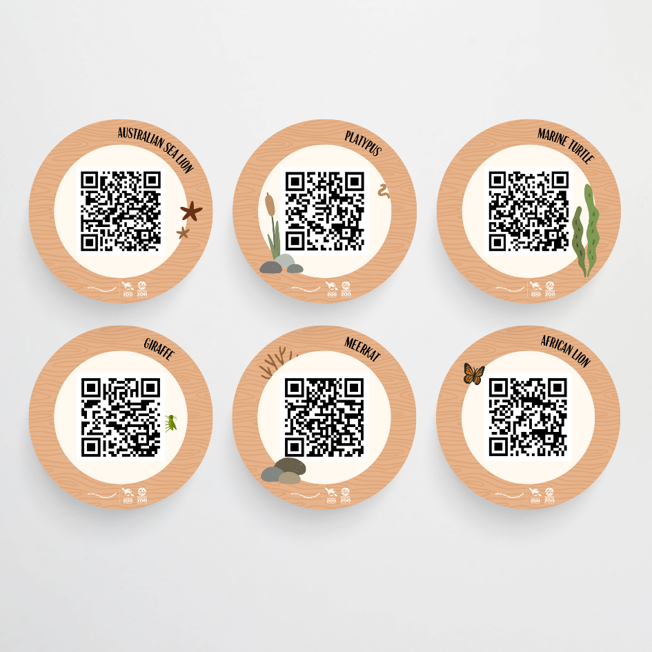 x Taronga Zoo Classroom Decor Bundle - Zoo-Themed Classroom Decor