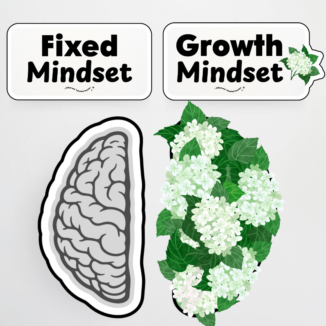 Growth Mindset Posters and Wall Display - Leafy Greens Classroom Decor - Teacher Resources & Classroom Decor