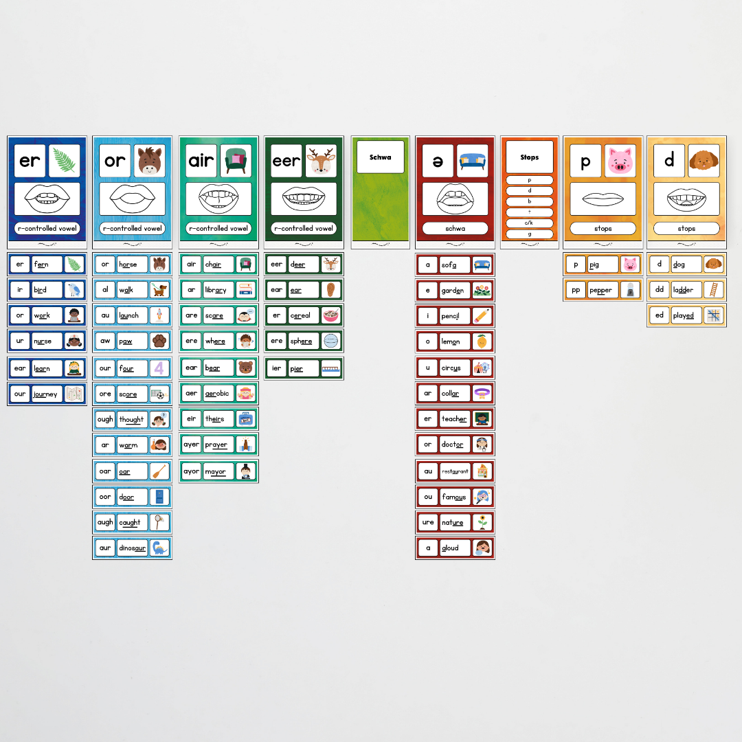 Sound Wall with Mouth Articulation - Insect Life Classroom Decor