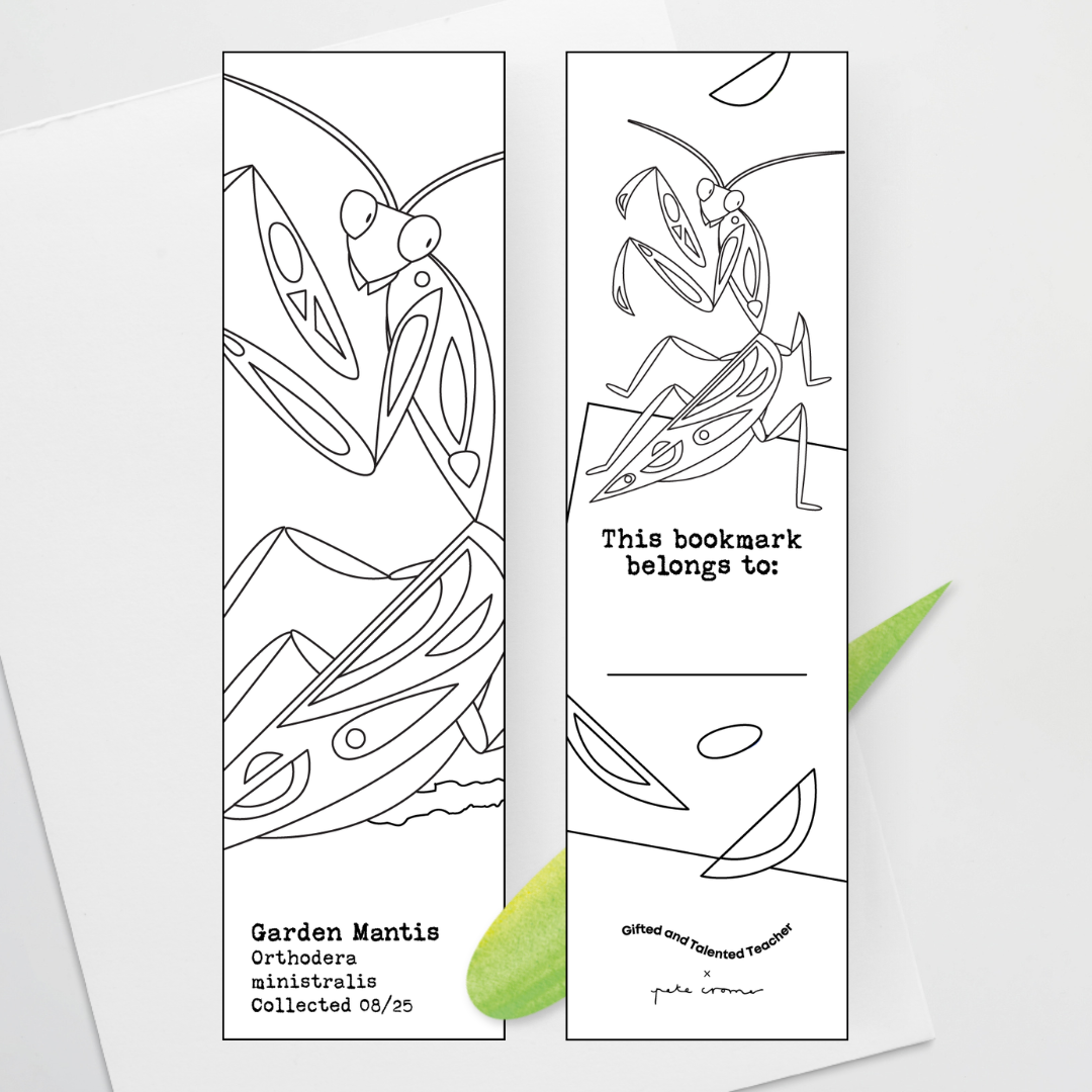 Pete Cromer: Line Art Bookmarks - Insect Life Collection