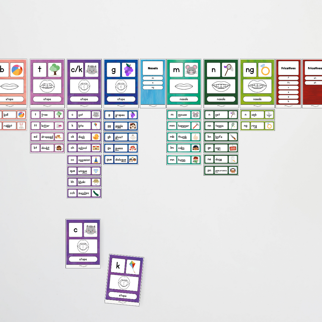 Sound Wall with Mouth Articulation - Insect Life Classroom Decor