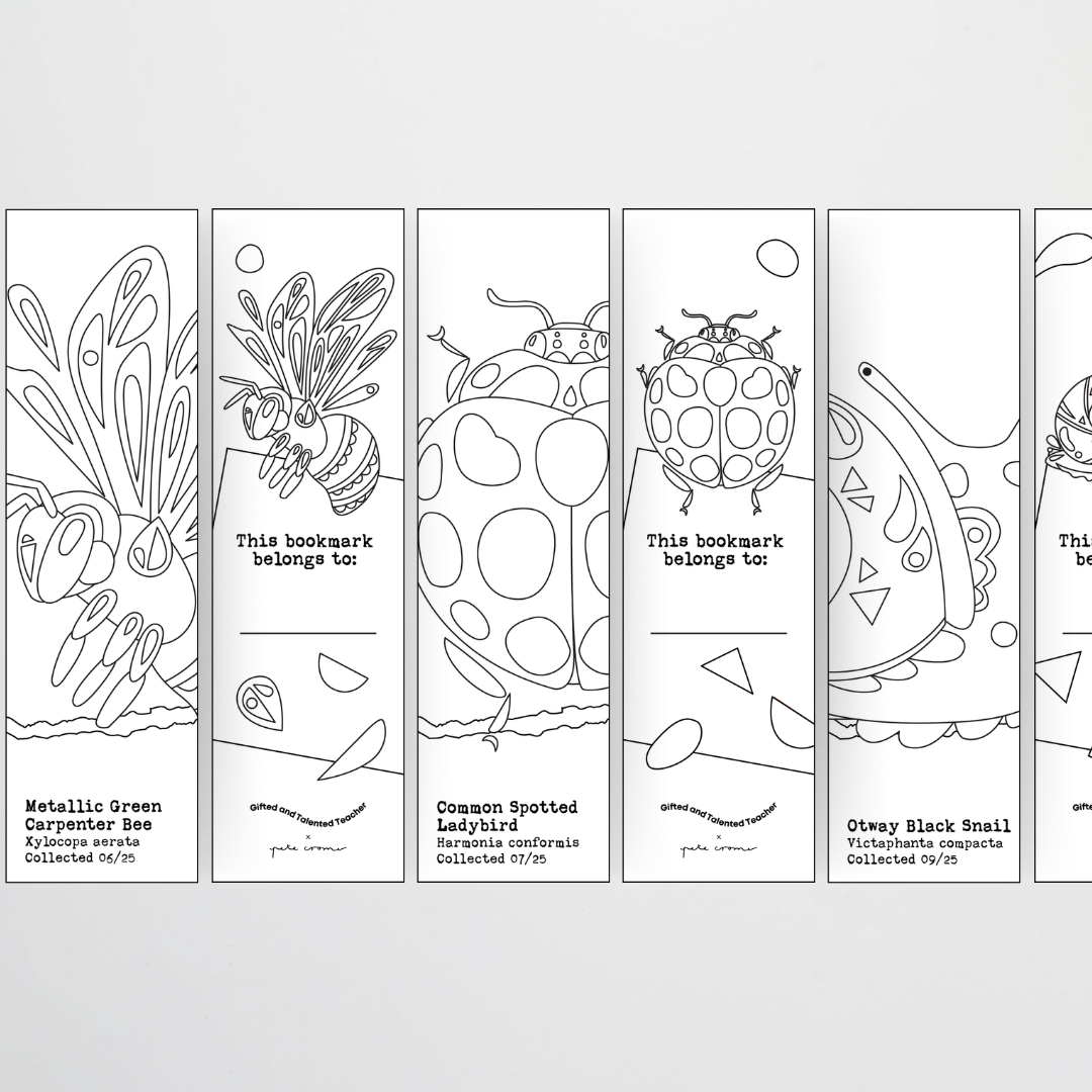 Pete Cromer: Line Art Bookmarks - Insect Life Collection