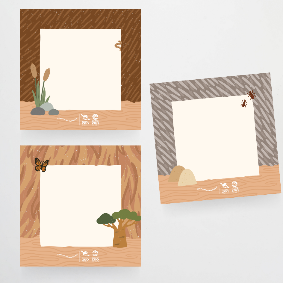 Taronga Zoo: Square Labels - Taronga Zoo Classroom Decor - Teacher Resources & Classroom Decor