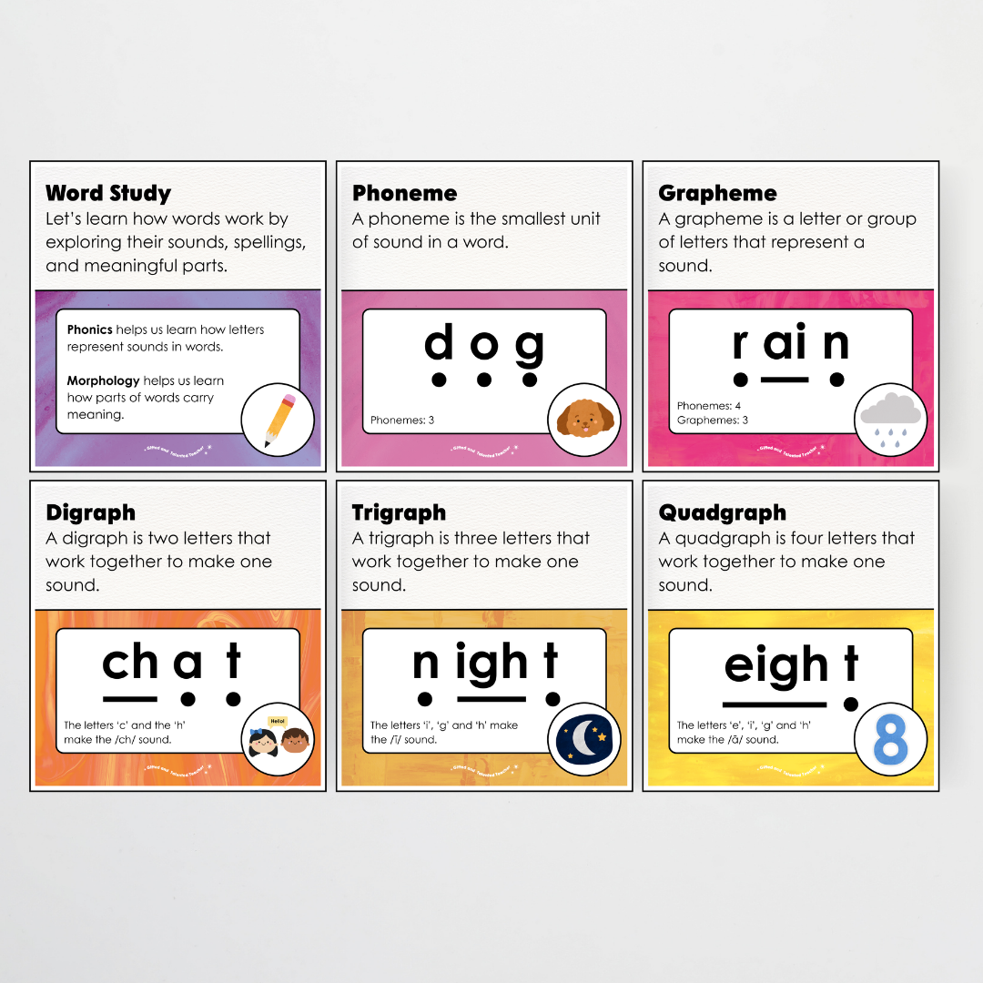 Word Study Phonics and Morphology Display - Australian Fauna and Flora Classroom Decor - Teacher Resources & Classroom Decor