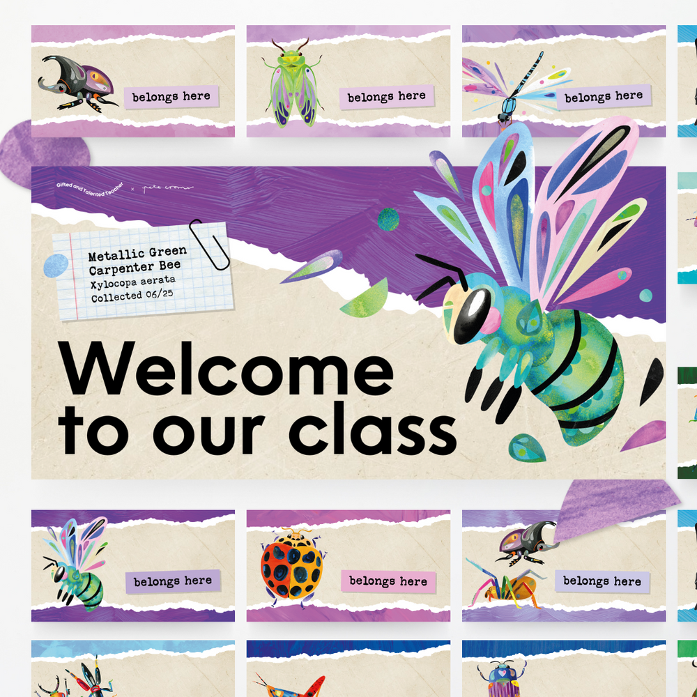 x Pete Cromer - Insect Life Classroom Decor Bundle | Teacher Resources