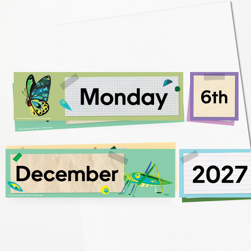 x Pete Cromer - Insect Life Classroom Decor Bundle | Teacher Resources