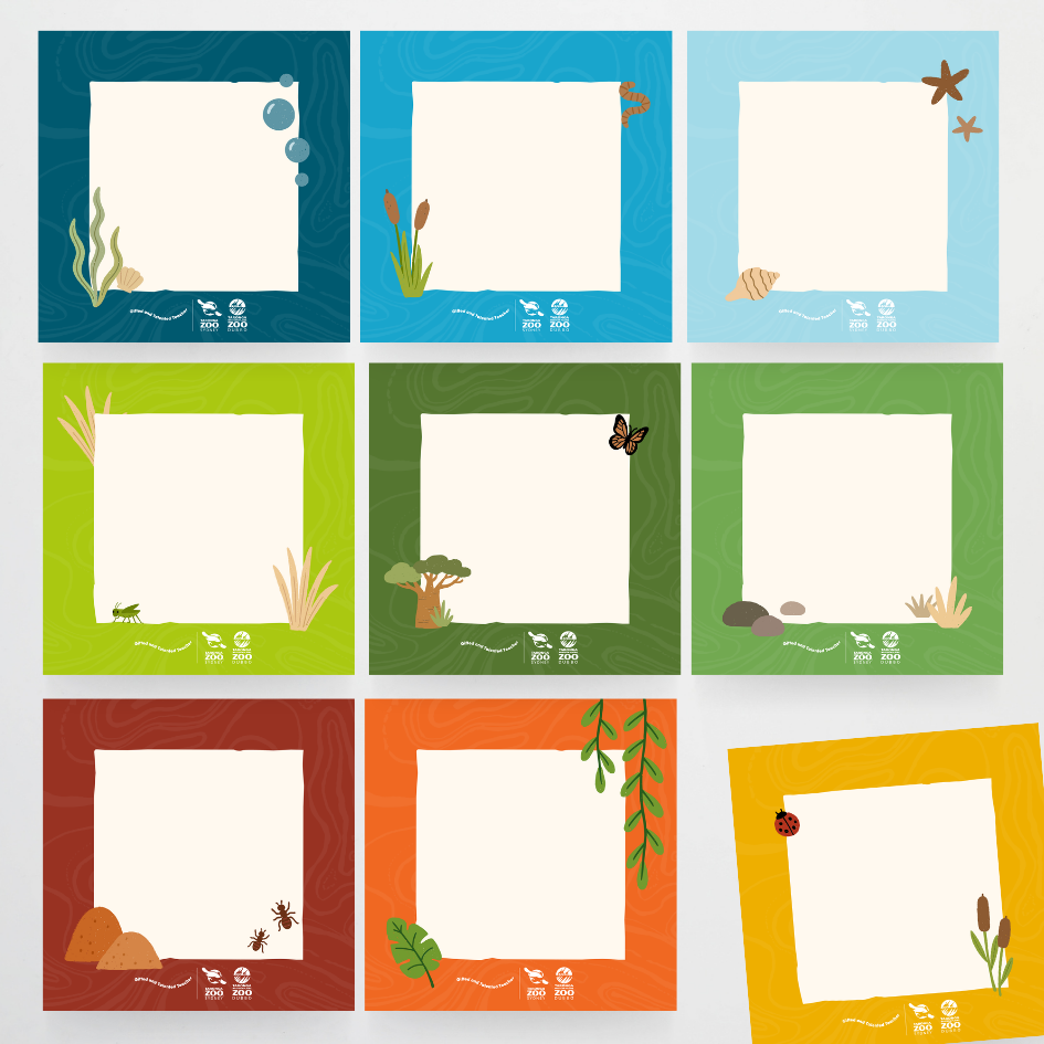 x Taronga Zoo Classroom Decor Bundle - Zoo-Themed Classroom Decor