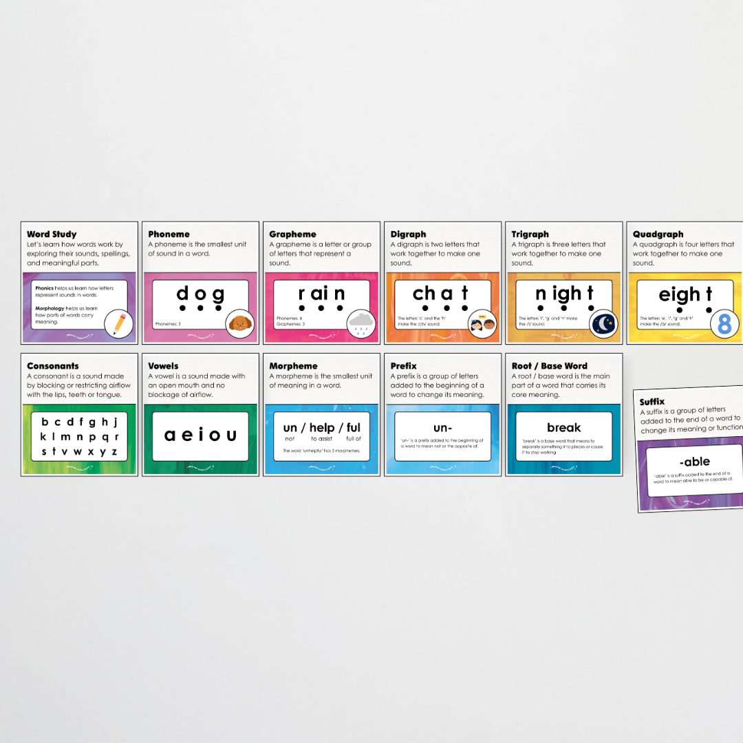 Word Study Phonics and Morphology Display - Australian Fauna and Flora Classroom Decor - Teacher Resources & Classroom Decor