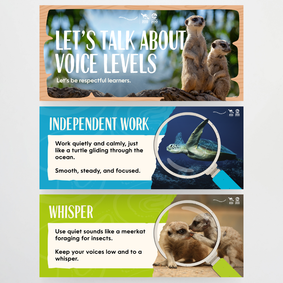 Taronga Zoo: Voice Levels - Taronga Zoo Classroom Decor - Teacher Resources & Classroom Decor