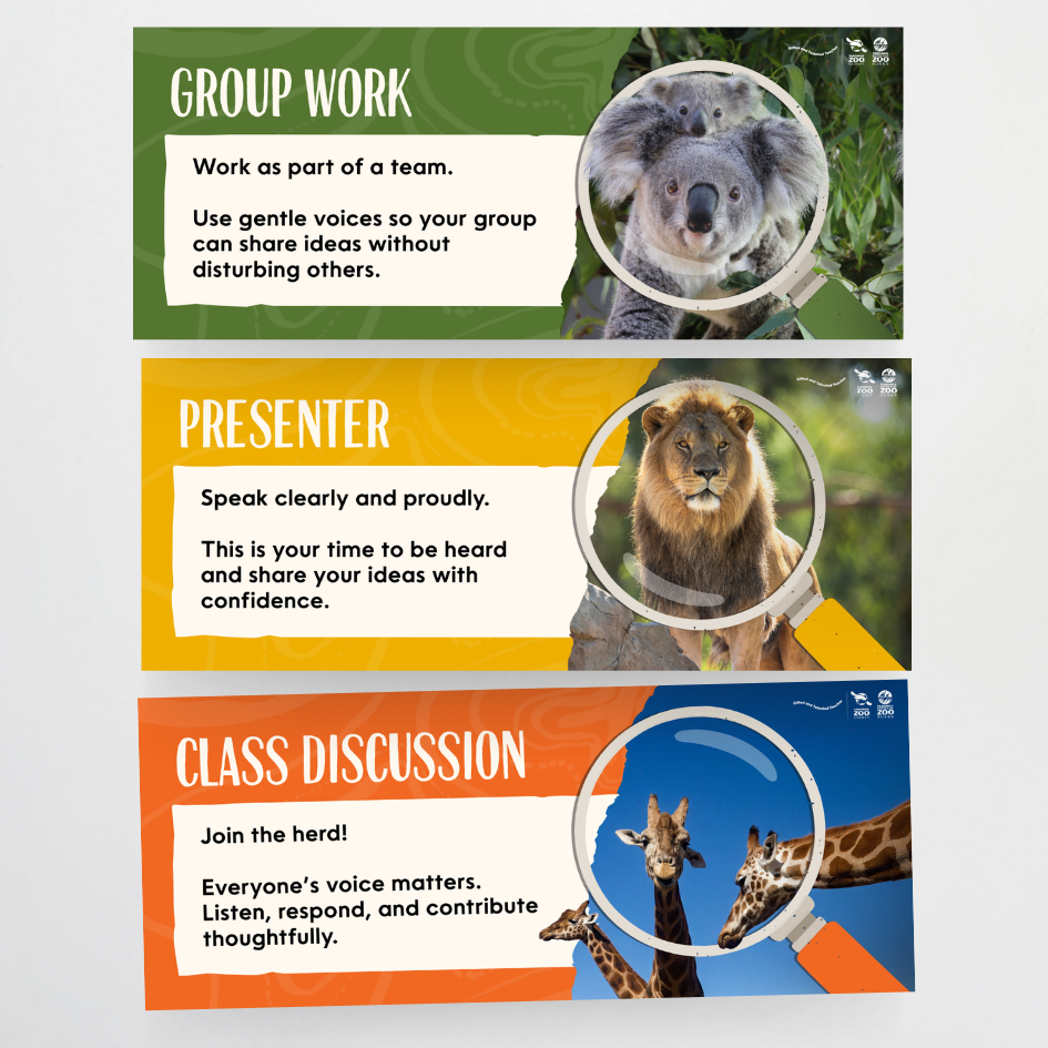 x Taronga Zoo Classroom Decor Bundle - Zoo-Themed Classroom Decor