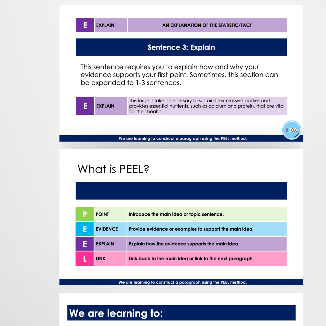 PEEL Paragraph Structure Bundle | Informative Purposes