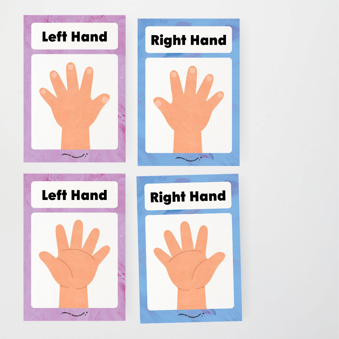 Left Hand and Right Hand Position Classroom Display - Sea Life Classroom Decor - Teacher Resources & Classroom Decor