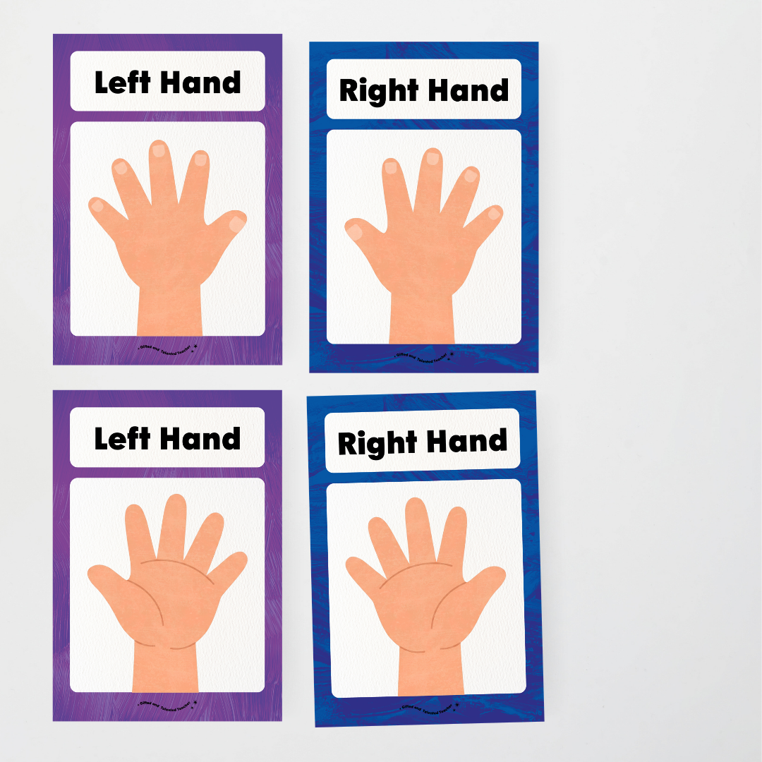 Left Hand and Right Hand Position Classroom Display - Insect Life Classroom Decor - Teacher Resources & Classroom Decor