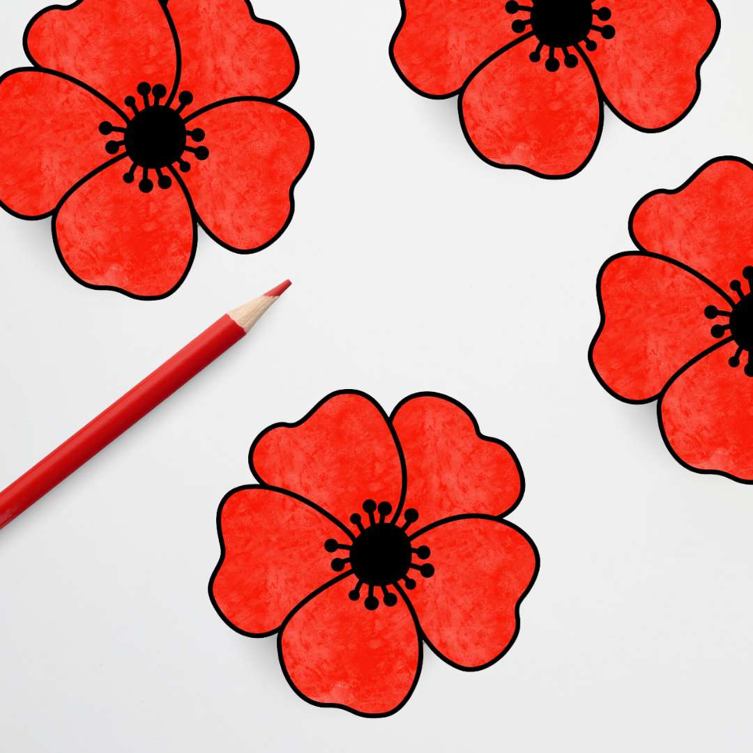 Anzac Day: Poppy Colouring In