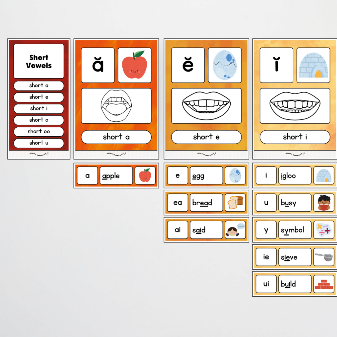 English and Literacy Posters Bundle - Insect Life Classroom Decor