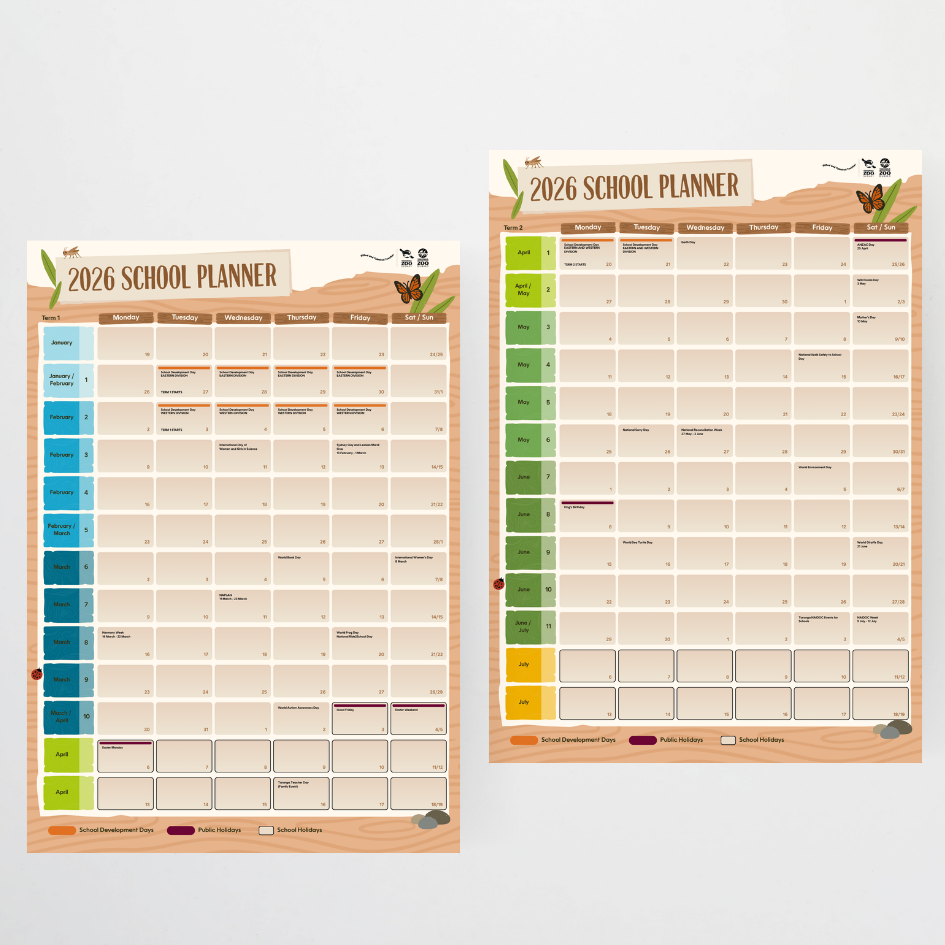 x Taronga Zoo Classroom Decor Bundle - Zoo-Themed Classroom Decor