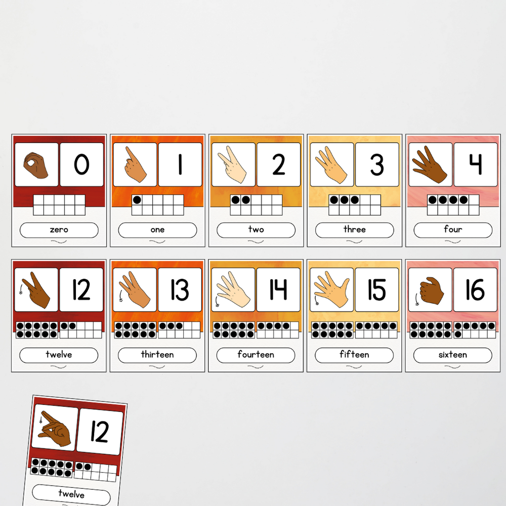 Auslan Ten Frames Number Posters - Insect Life Classroom Decor